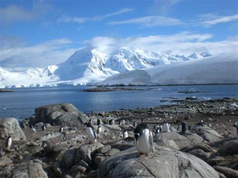 South Pole Tourism Best Of South Pole Antarctica Tripadvisor