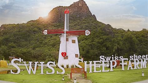 Swiss Sheep Farm | Novotel Hua Hin Beach Resort and Spa