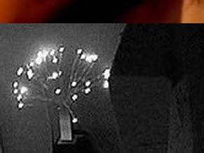 The Grind Nude Scenes Aznude