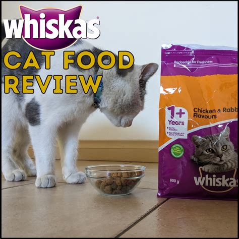 Honest Whiskas Dry Cat Food Review 2024