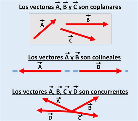 Vectores teoría ejemplos y ejercicios resueltos Ondas y Partículas