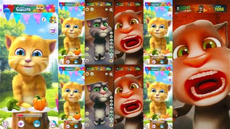 Talking Tom Funny My Tom Talking Ginger Youtube