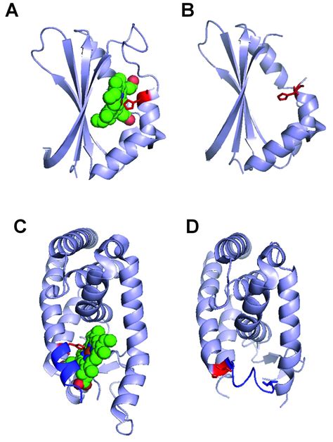 Structural Analysis Of Heme Proteins Implications For Design And