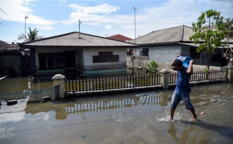 Ribu Kepala Keluarga Di Belawan Medan Terendam Banjir Rob Foto