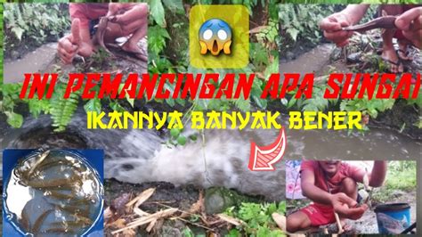 Mancing Ikan Wader Di Sungai Air Keruh Youtube