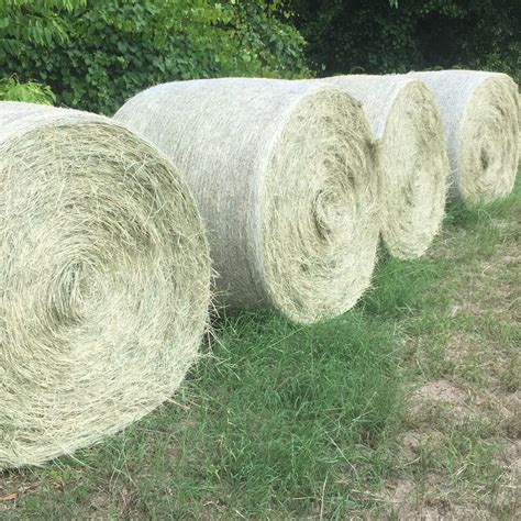 Premium Alfalfa Hay For Sale Conway Feed Supply