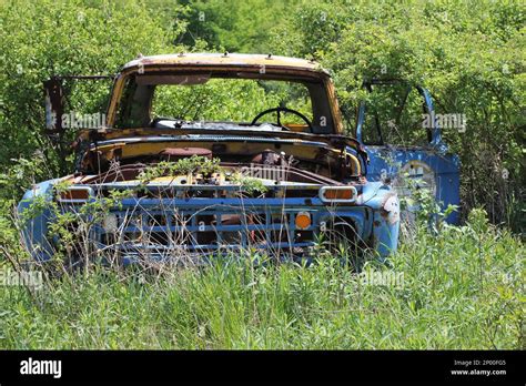 An Old Classic American Made Blue Truck Sits Rusted Out In The Woods