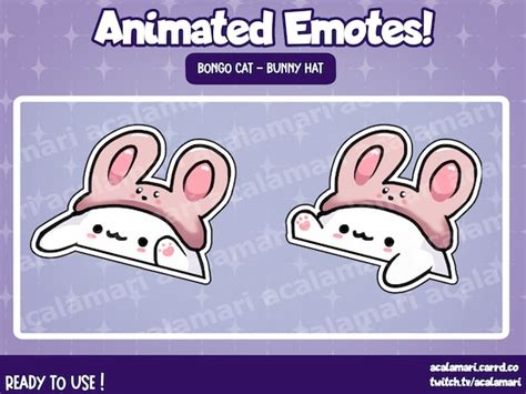 Animated Bongo Cat Meme Bunny Hat Twitch Discord Youtube Etsy