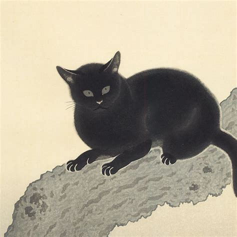 Fuji Arts Japanese Prints Black Cat By Hishida Shunso