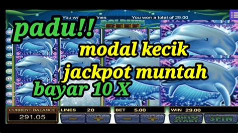 Padu Jackpot DOLPHIN REEF Muntah Ribu Ribu Payung Auto