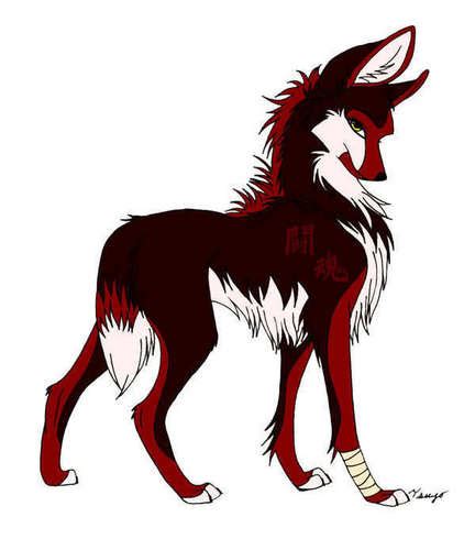 Wolves Images Anime Wolf Wallpaper And Background Photos 10983899