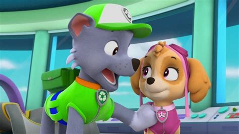 Paw Patrol Mighty Pups Rescue Adventure Bay 30 Minute Compilation Nick Jr Artofit