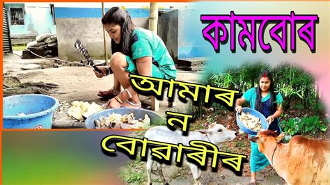 বিশ্বকৰ্মা বোৱাৰী আমাৰ নতুন বোৱাৰীৰ মৰম লগা কাম বোৰ