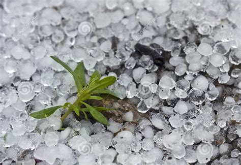 FTApinamar El Granizo Y El FTA 2