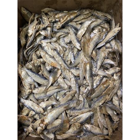 Jual Promo Ikan Asin Tembang 500gram Shopee Indonesia