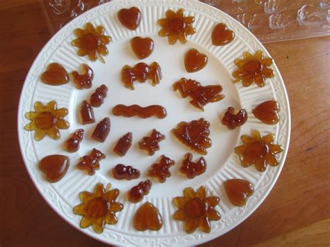 All Natural Recipes: Gummy Snacks