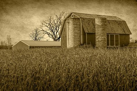 Sepia Photo Of A Country Scene With Barn And Corn Field Photograph By