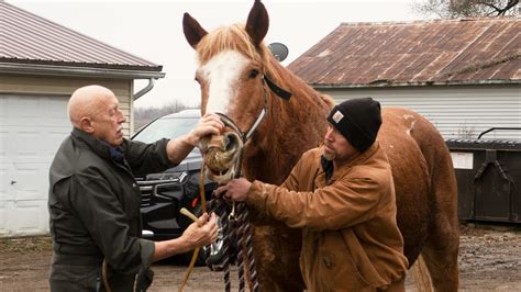 The Incredible Dr Pol National Geographic Your Favourite Shows