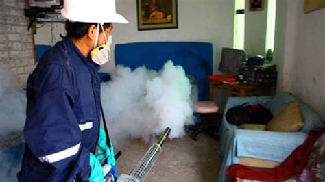 Bi Logo Cuestiona Qu Mico Que Emplea El Minsa En Fumigaciones Contra El