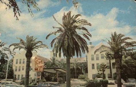 Casa de Palmas McAllen, TX Postcard