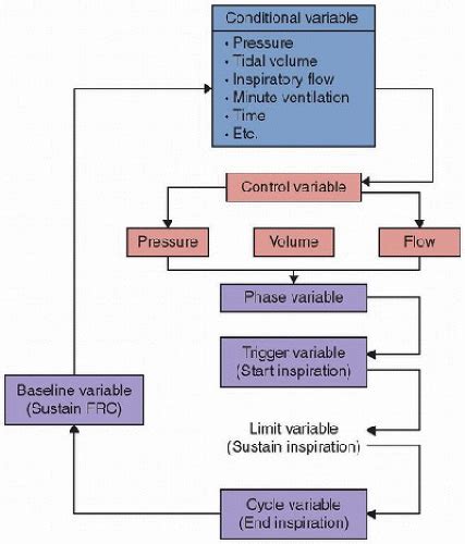 Mechanical Ventilation Anesthesia Key