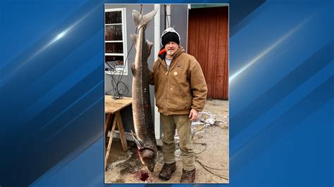 1000th Sturgeon Of Season Speared On Lake Winnebago Tuesday