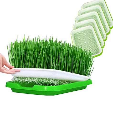 Seed Sprouter Tray Bpa Free Bean Sprout Grower Germination Kit Veg