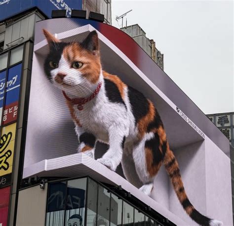 クロス新宿ビジョン 3D巨大猫 新宿区新宿 イベント情報提供サービス業 Yahoo マップ