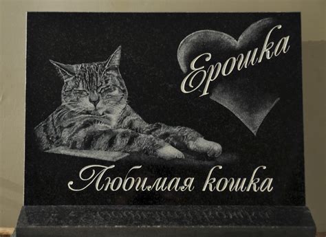 Памятник кошке Памятники Вознесение