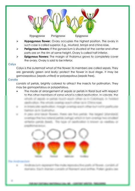 Solution Morphology Of Flowering Plants Neet Studypool