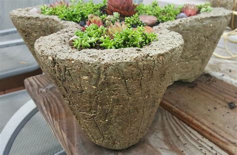 One Of My Cutest Hypertufa Molds The Shamrock The Hypertufa Gardener Hypertufa Planters