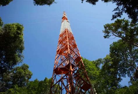 Torre mais alta da América Latina fica no meio da Floresta Amazônica