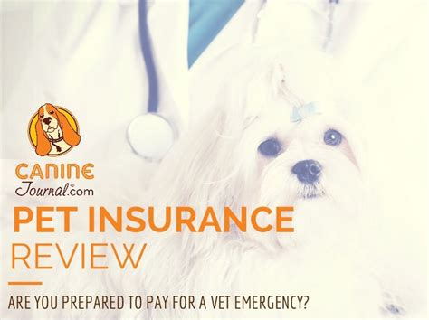 Pet Insurance Reviews