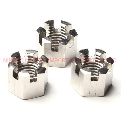 Stainless Steel Hex Slotted Castle Nuts DIN935 DIN936 DIN937 China