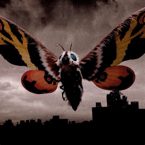 Mothra Millennium Gojipedia Fandom