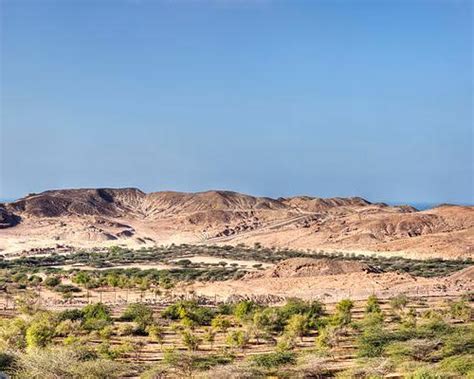 Crucero De Dias Por El Golfo De Arabia Con Stopover En Dubai Y Abu