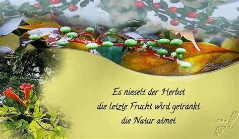 Gedicht Herbstliches Von Sieghild Krieter Haiku Tanka Co Bei E