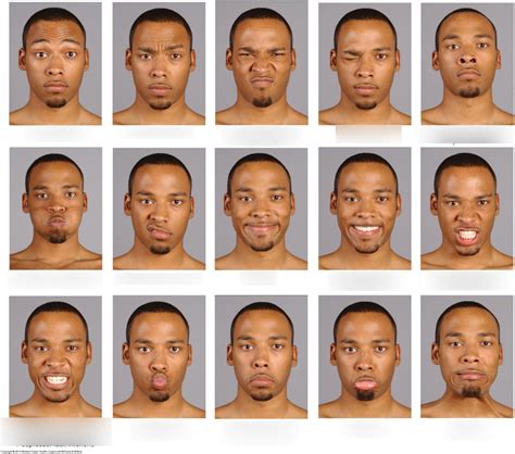 Facial Expressions Muscles Diagram Quizlet Muscles Of Facial