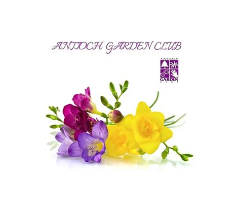 AGC News