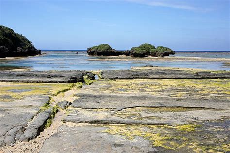 13 Fakta Menarik Hoshizuna No Hama Pantai Berpasir Bintang Di Jepang