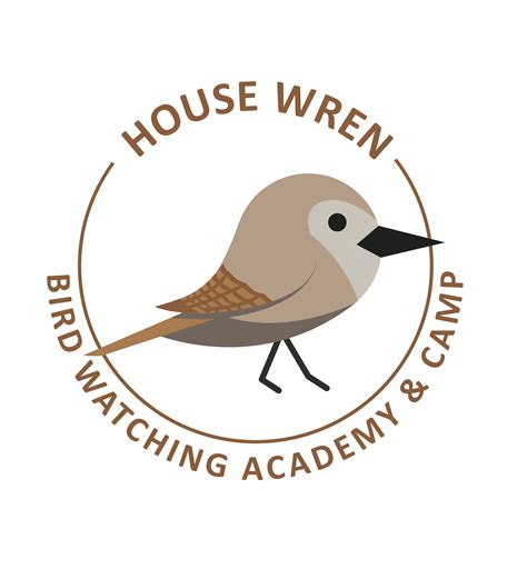 House Wren - Bird Watching Academy