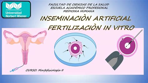 Inseminación Artificial Fertilización In Vitro aracelli mogollon uDocz