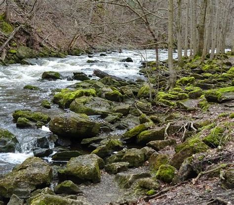 Akron Falls Park 2020 All You Need To Know Before You Go With Photos