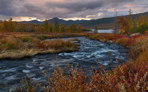 Photos Russia Kalmykia Autumn Nature Mountains forest 1920x1200