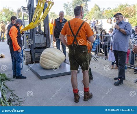 Weighing Of A Giant Squash Editorial Photography Image Of Presentation