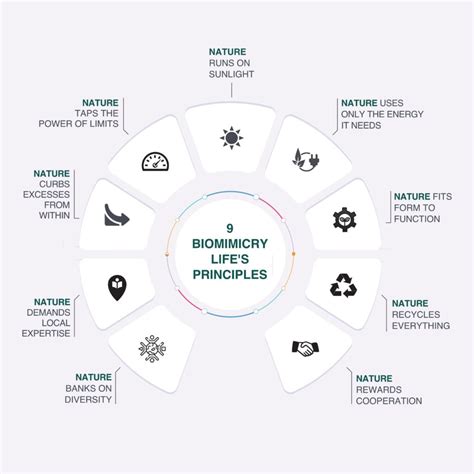 Biomimicry As A Primer In Policy Entrepreneurship For Environmental Sustainability In Developing