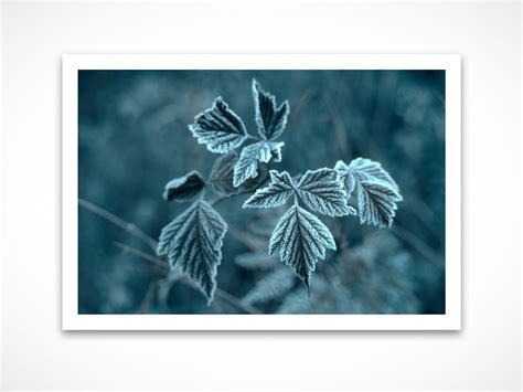 Frozen 1 Parker Street Editions
