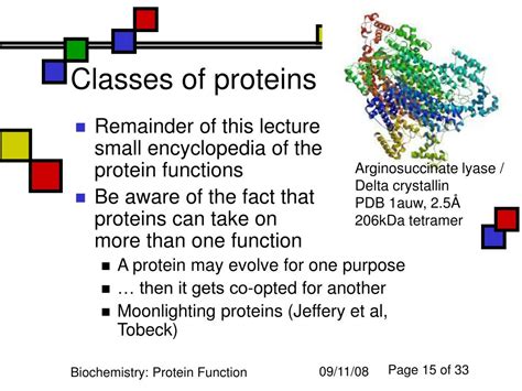 Ppt Protein Function Powerpoint Presentation Free Download Id5488482