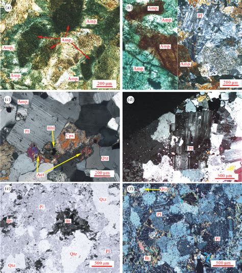 Photomicrographs Showing Representative Microstructures Of Typical