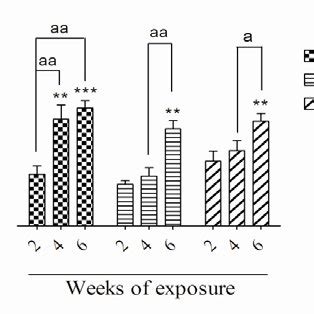 Effects Of 2 4 And 6 Weeks Of Lead Exposure Restraint Stress And